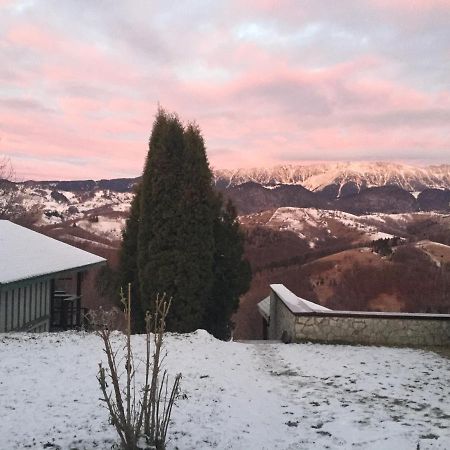 Drumul Carului Villa Moieciu de Jos Dış mekan fotoğraf