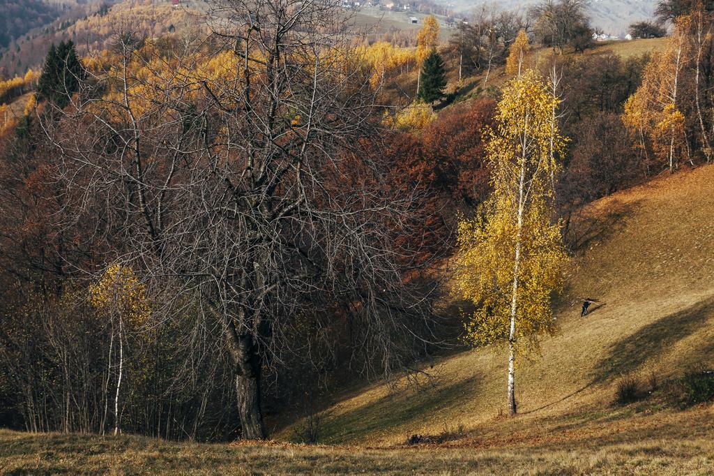 Drumul Carului Villa Moieciu de Jos Dış mekan fotoğraf