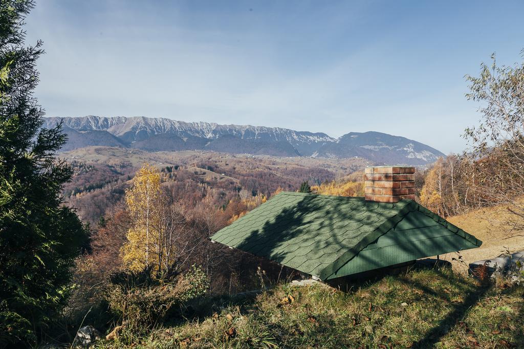 Drumul Carului Villa Moieciu de Jos Oda fotoğraf