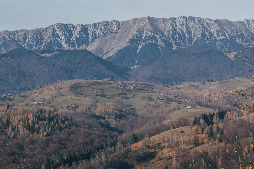Drumul Carului Villa Moieciu de Jos Oda fotoğraf