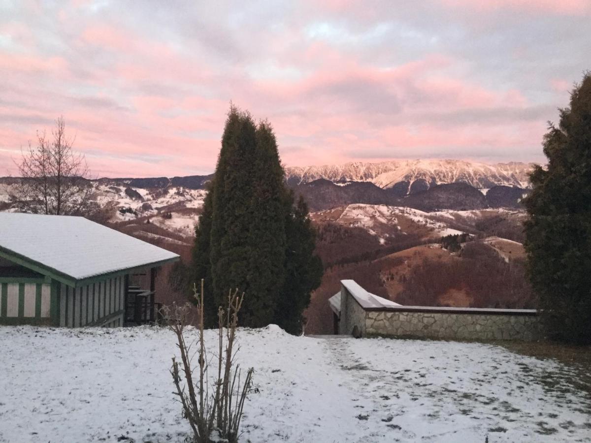 Drumul Carului Villa Moieciu de Jos Dış mekan fotoğraf